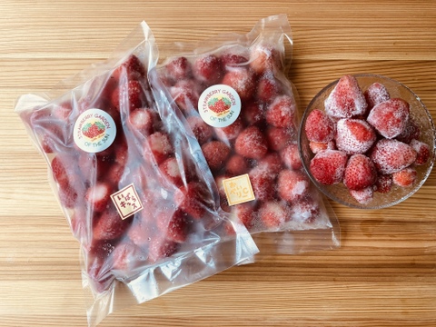 冷凍いちご 1袋(500g)×2袋　いばらキッス・おいCベリー 各1袋セット 朝採りいちごの美味しさそのまま冷凍！※砂糖・添加物不使用