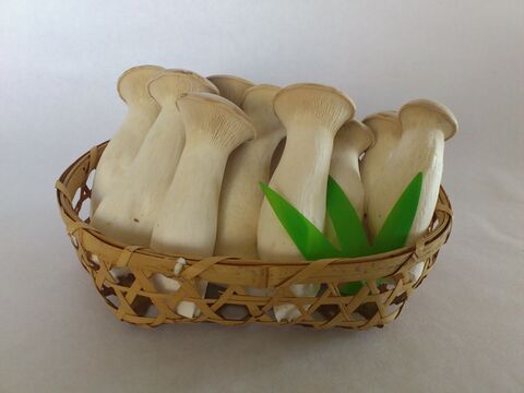 【ゲン担ぎ福袋】金（菌）招く！？きのこ屋の福袋