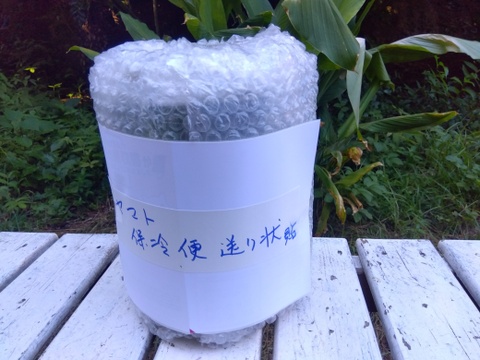 【農薬・肥料・除草剤不使用】生ブルーベリー（１kg ）