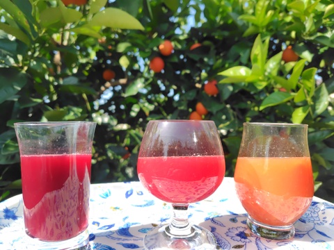 【アワード受賞福袋】ブラッドオレンジ「モロタロ福袋」　約5kg