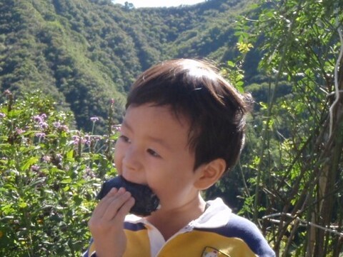 期待の粒感　R7年新米　魚沼産こしいぶき　精米5Kg