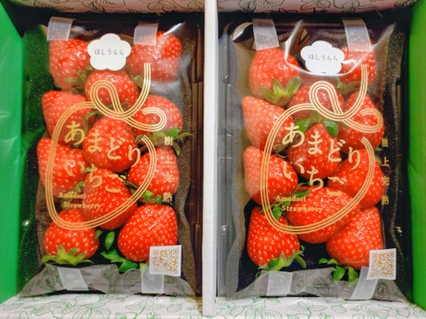 【東京・練馬産】完熟収穫のほしうらら 250g x 2p