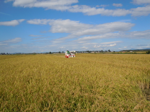 水田環境「特A」の水田から　特別栽培米  あきたこまち