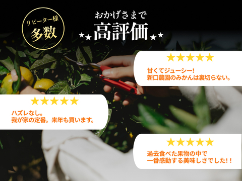 みかんGP2026最高金賞】愛果48号【新品種】甘平×まどんな【紅
