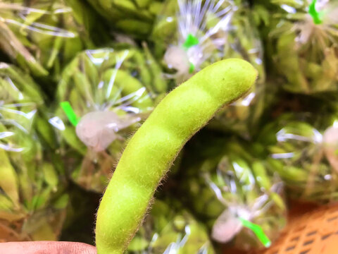 風味豊かな枝豆！宮崎県産『湯あがり娘1kg』200g×5袋