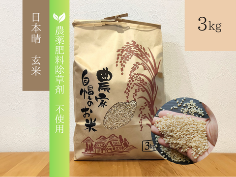 《農薬不使用・肥料除草剤不使用》お日さまたっぷりのお米『日本晴』【玄米】3kg・2025年和歌山県産