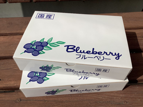 完熟生ブルーベリー【お得パック】(250g×2パック)×２箱