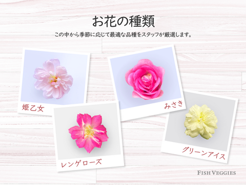 FISH VEGGIES／お魚が育てたお野菜　エディブルローズ【小花】10輪