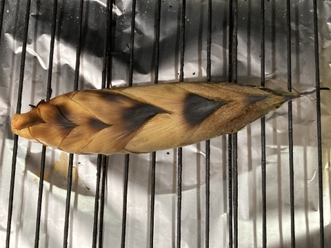 朝どれ産地直送！「鹿児島県産たけのこ」　2キロ　鮮度抜群　えぐみの少ないたけのこ