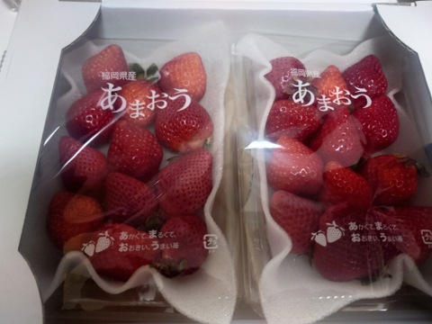 【夜市限定】形いろいろ完熟あまおう！「日時指定なしでお得」5玉〜15玉（2パック）