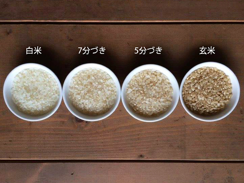【農薬化学肥料不使用】コシヒカリ2㎏・白米・分づき米（2023年産）＊新米