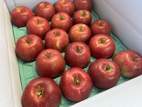 【予約販売】やさしい甘さ シナノスイート 約5kg(14～20個)