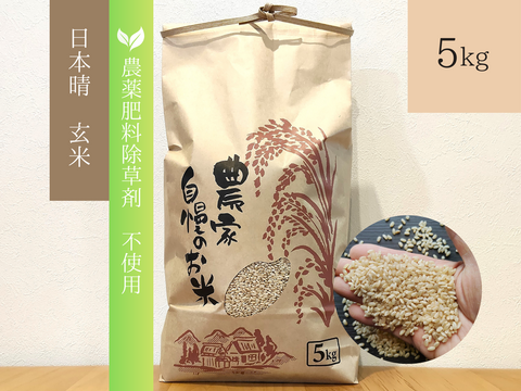 《農薬不使用・肥料除草剤不使用》お日さまたっぷりのお米『日本晴』【玄米】5kg・2025年和歌山県産