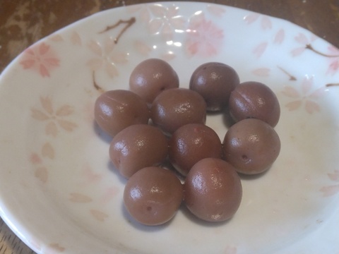 専用商品　チョク様 小梅500グラム：長野県産の果物｜食べチョク｜産地直送(産直)お