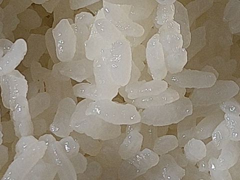 自然栽培　草との闘いに勝ち抜いた令和７年産あきたこまち新米９kg　人と土にやさしい栽培方法　農薬も除草剤も不使用　肥料不使用でゆっくり成長したから、小粒でも土の中の様々な栄養を吸収していると思います