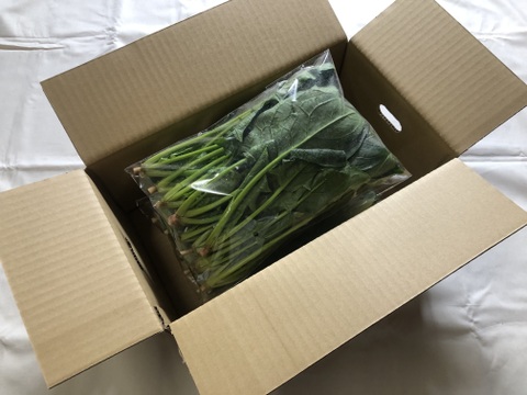 ほうれん草（200g x 3袋）+ 小松菜（250g x 2袋）　＜農薬・化学肥料不使用＞