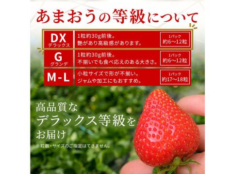 いちごの王様！あまおう苺 人気サイズ 270g×2パック デラックス等級【冬ギフト】