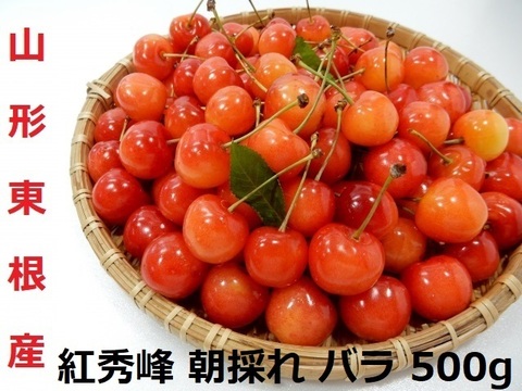 紅秀峰 山形県産さくらんぼ 500グラム 大粒 秀品 2L～L玉混合 バラ詰