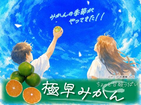 お試しに】みかんシーズン到来！『極早みかん』【1.8kg】：熊本県産の