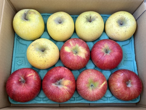 どっちがお好き？？当園人気ナンバー1企画「信州オリジナル林檎食べ比べ」　　お徳用シナノスイート＆シナノゴールド　
訳あり家庭用3キロ中玉　美味しさkeep！スマートフレッシュ鮮度保持貯蔵