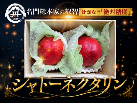 【周りに差をつける幸運の贈り物】最高糖度25度の比類なき朝どれ高級もも🍑絶対糖度完熟シャトーネクタリン【贈答・家庭用桃】【朝どれ】【8月中旬予約】