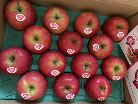 キュンとくる酸味りんご❗　ピンクレディー®（12個から16個）箱含め3キロ