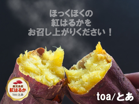 本場鹿児島産の甘～い べにはるか（さつまいも）5kg