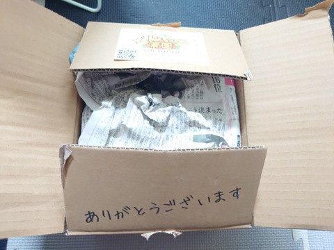 春の掘りたてじゃがいも!田んぼのメークイン(3kg)/静岡県産農薬不使用