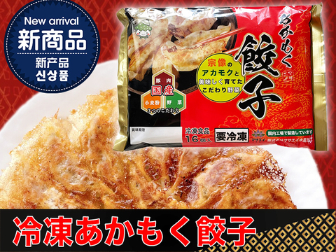 【初回限定BOX】アカモク４個・アカモク餃子１袋・塩蔵わかめ５袋