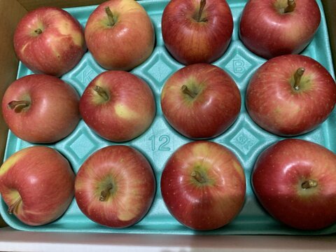 すぐに発送🍎安祈世🍎3kg りんご好きもうなる皮までおいしい低農薬りんご✨キズなし良品 青森県特別栽培
