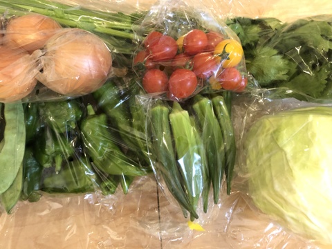 『子育て農家の野菜セット』　Mサイズ　10～11品目