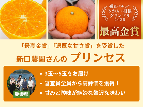 【ご好評につき完売】柑橘3種食べ比べセット（食べチョク公式）【みかん・柑橘グランプリ2026受賞】