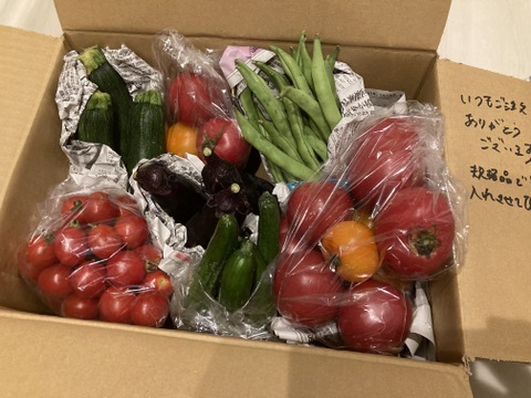 中玉トマト🍅自然栽培の手渡したくなるお任せ野菜SET（Mサイズ）