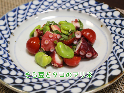 ほくほく深～い味わい❗朝穫れ❗2㎏「そら豆（さや付き）」4月