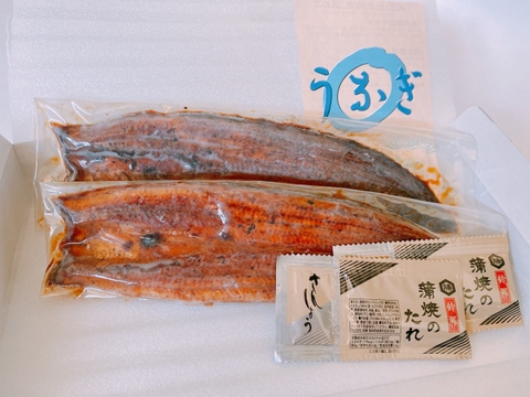 【贈答用】１匹１３０ｇサイズ！！美味しい国産！！長蒲焼うなぎ２匹