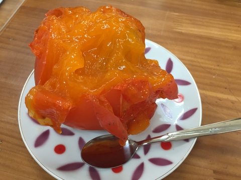 求む！干し柿チャレンジャー【甲州百匁柿10個+あんぽ柿２ケ】干し紐・ガイド付き（受付11月25日迄）