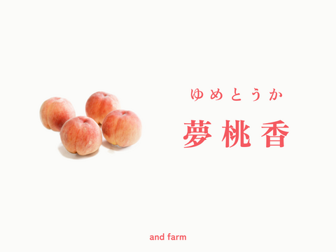 【数量限定】夢桃香（ゆめとうか）｜硬い桃の常識を超える希少な新品種　約2kg 約5~6玉