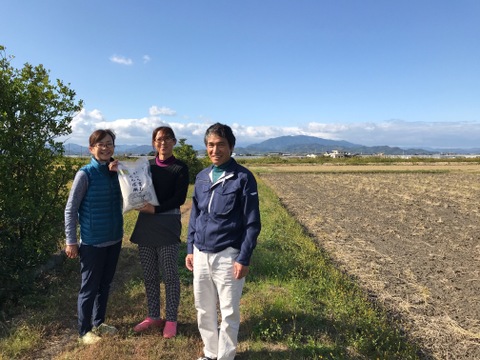 令和3年産コシヒカリ特別栽培米5㎏
健康と美容に嬉しい５分づきです。