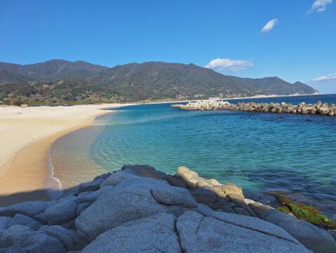 ここにしかない！ハバネロのフルーティーさと辺塚だいだい(でで)の香りがよくあった爽やかな辛味調味料！ででスコ☆