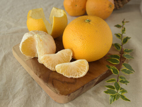 【ご注文受付中】八朔(はっさく)【家庭用(訳あり)】[2.5kg]　312-2h