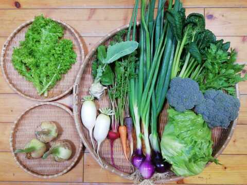 【農薬化学肥料不使用】葉付きタマネギ入り野菜セット【８種類以上の野菜】【熨斗(のし)対応可】【８０サイズ箱】