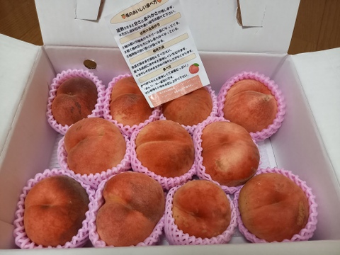 【お試し規格】訳あり C品　約3kg　8～14玉　8月下旬　お得にたくさん食べたい方へ　農家直送