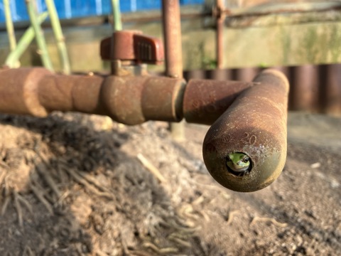 島根県出雲市産アスパラガスLサイズ1ｋｇ