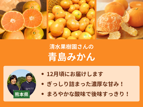 【販売終了】【限定400セット】温州みかん食べ比べ便（食べチョク公式）