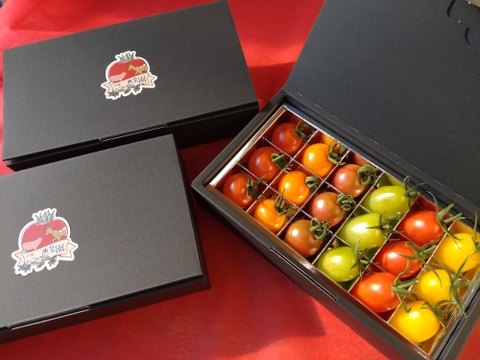 ☆３箱同梱　【贈答品】カラフルで甘いミニトマトの詰め合わせ（約３００ｇ）