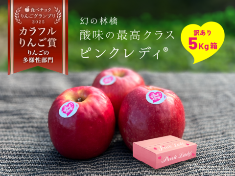 12月9日から🍎【ヒルナンデスでました！】ピンクレディ®︎ 5キロ訳あり品 加工用にご利用ください！長野県 信州 安曇野 リンゴ 幻 幻のリンゴ 予約 希少 旬 ID36611 ピンクレディー