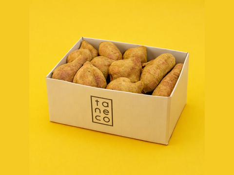 ＜訳あり・規格外＞taneco 熟成 種子島安納いも（生いも） 【Sサイズ以下・５kg】