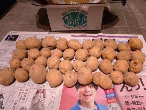 【期間限定】訳ありじゃがいも　キタアカリ　5㎏