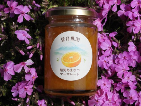 駿河あまなつマーマレード（瓶詰品、内容量１４０ｇ）