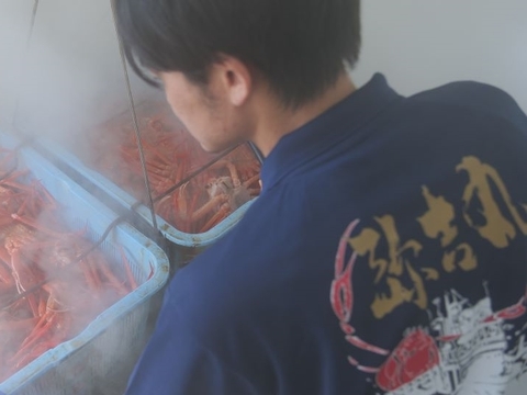【朝市限定】『佐渡島産』浜茹で紅ズワイガニ（1.8kg/3杯）